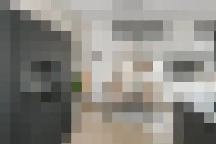 Dorpsstraat 6 Zoetermeer thumbnail 8