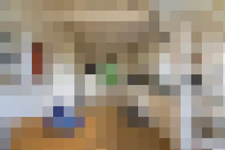Dorpsstraat 60 Dussen thumbnail 13