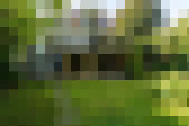 Dorpsstraat 60 Dussen thumbnail 34