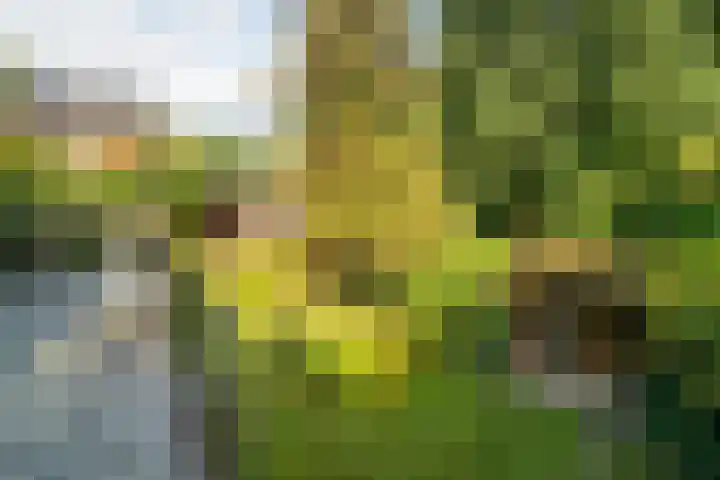 Dorpsstraat 60 Dussen thumbnail 35