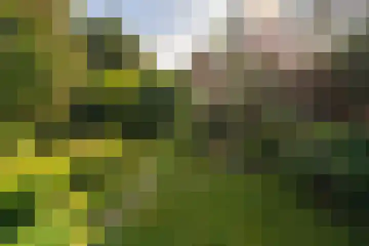 Dorpsstraat 60 Dussen thumbnail 36