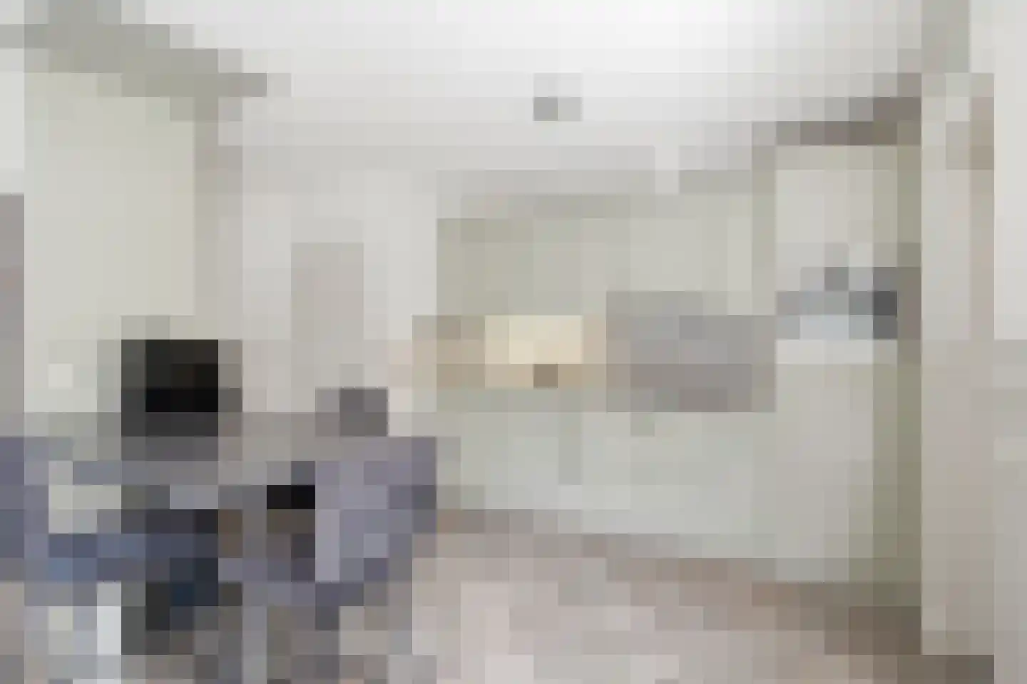 Dorpsstraat 60 Langenboom thumbnail 10