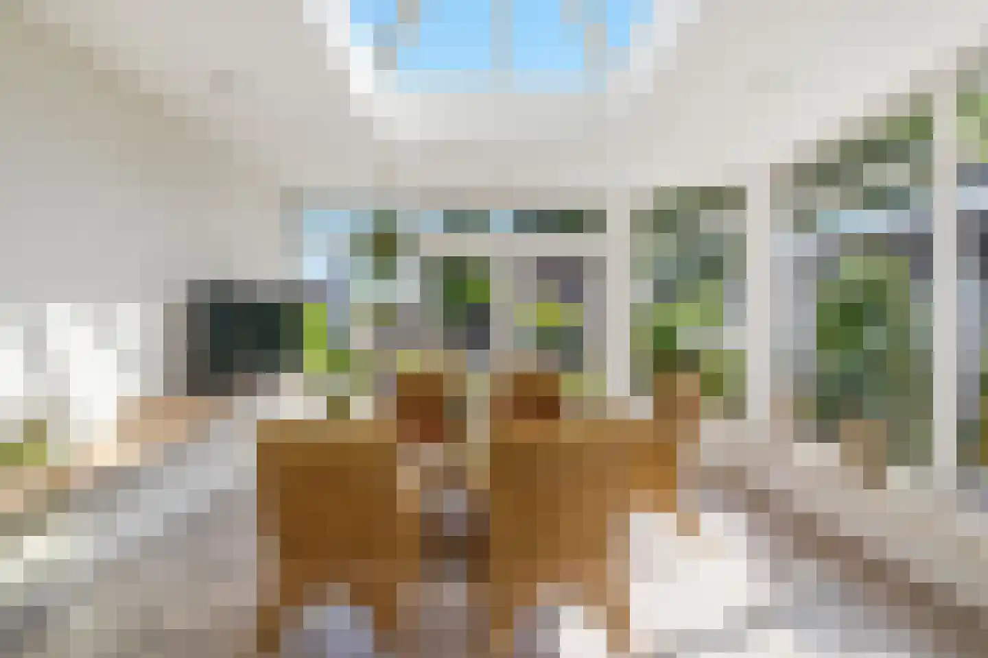 Dorpsstraat 60 Langenboom thumbnail 14