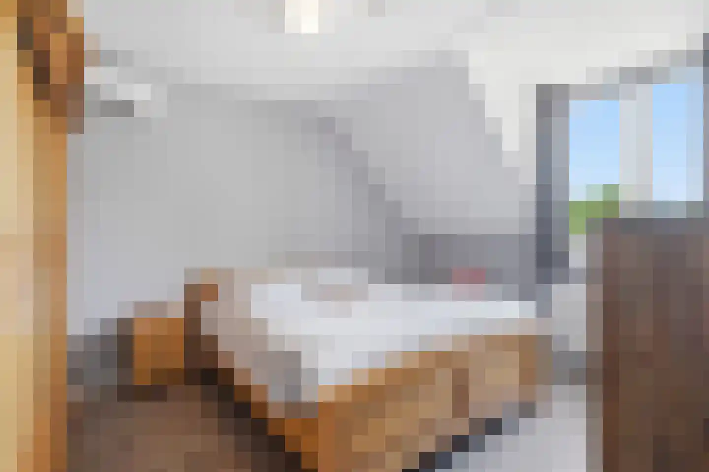 Dorpsstraat 60 Langenboom thumbnail 20