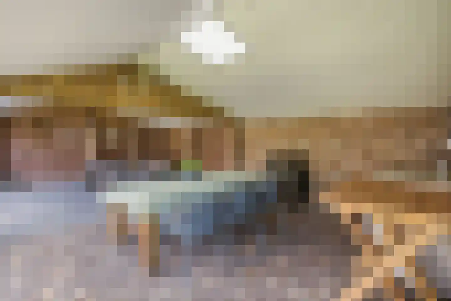 Dorpsstraat 60 Langenboom thumbnail 34