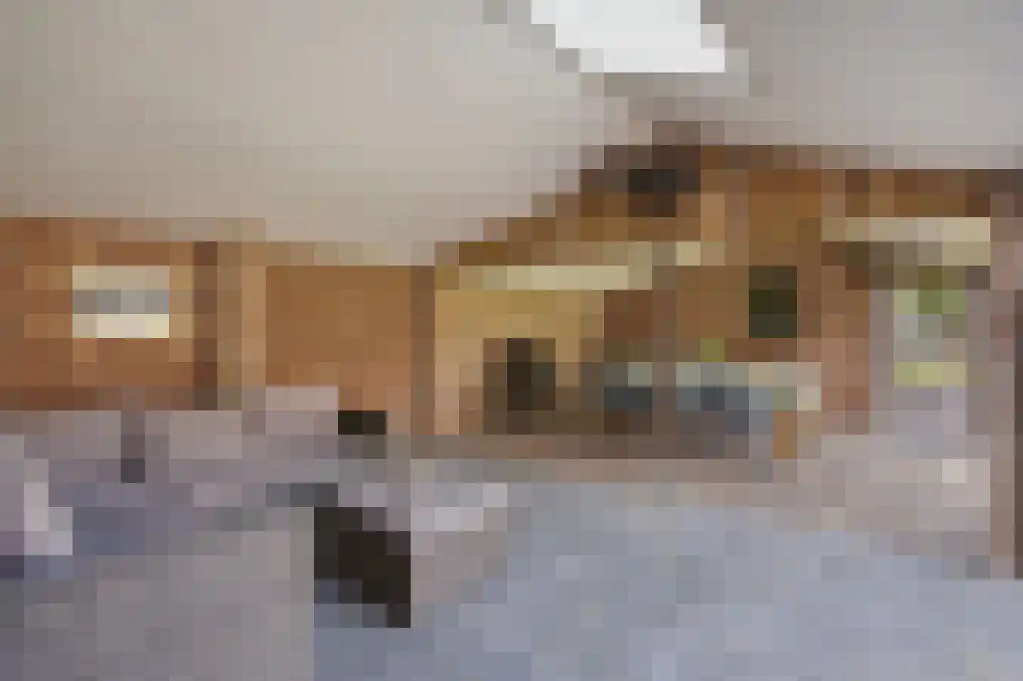 Dorpsstraat 60 Langenboom thumbnail 35