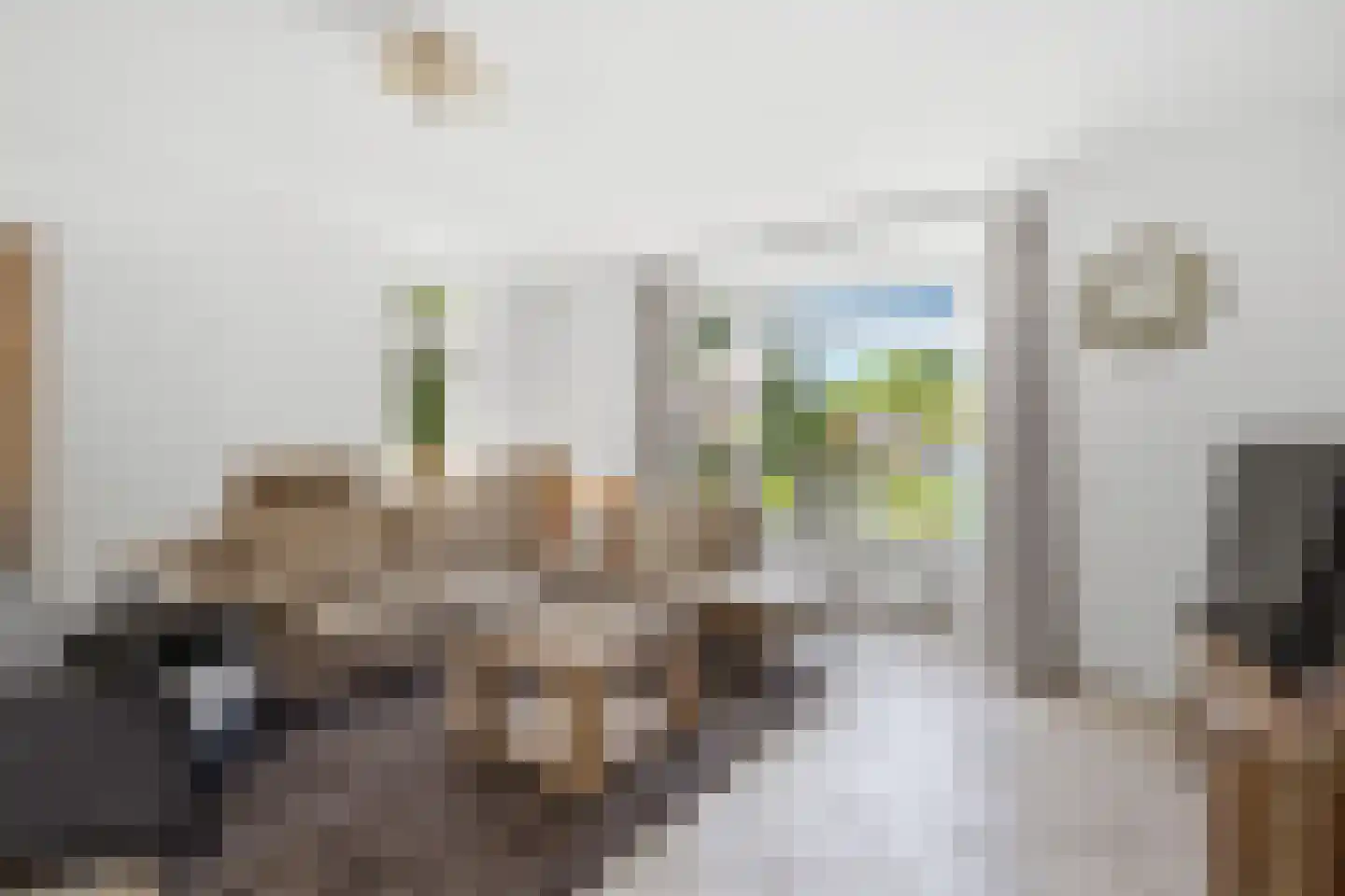 Dorpsstraat 60 Langenboom thumbnail 5