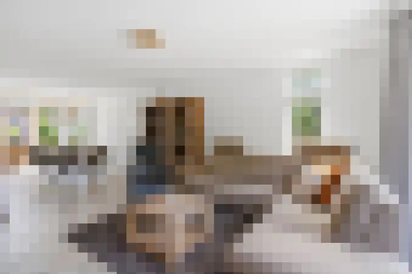 Dorpsstraat 60 Langenboom thumbnail 6