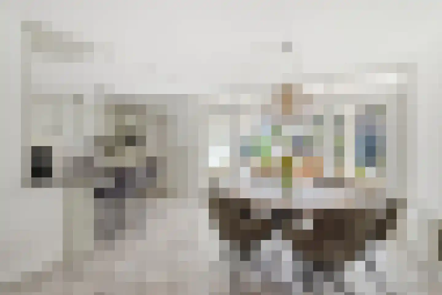 Dorpsstraat 60 Langenboom thumbnail 8