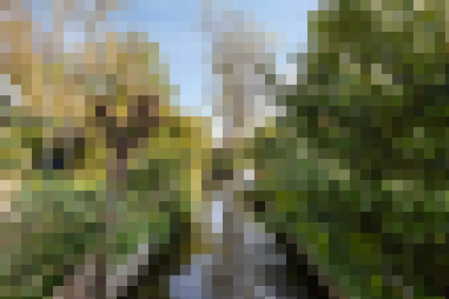 Dorpsstraat 60 Markenbinnen thumbnail 14