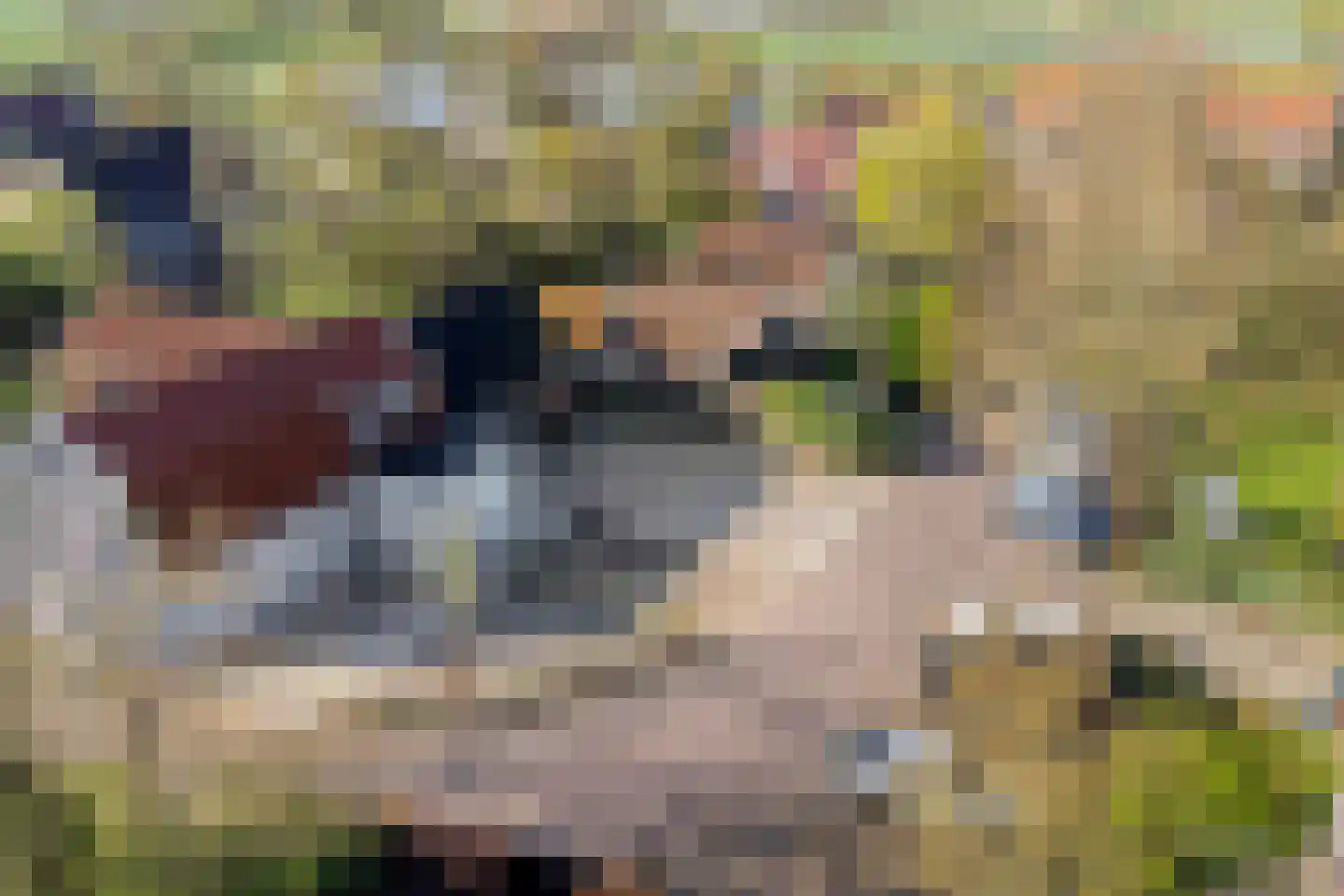 Dorpsstraat 60 Markenbinnen thumbnail 18