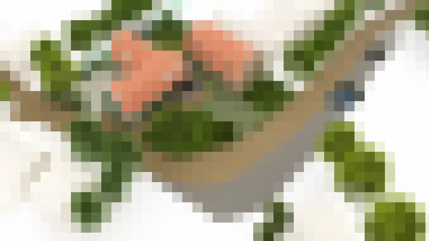 Dorpsstraat 60 Markenbinnen thumbnail 5