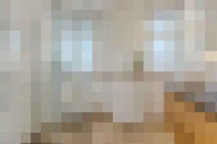 Dorpsstraat 60 Wormer thumbnail 24