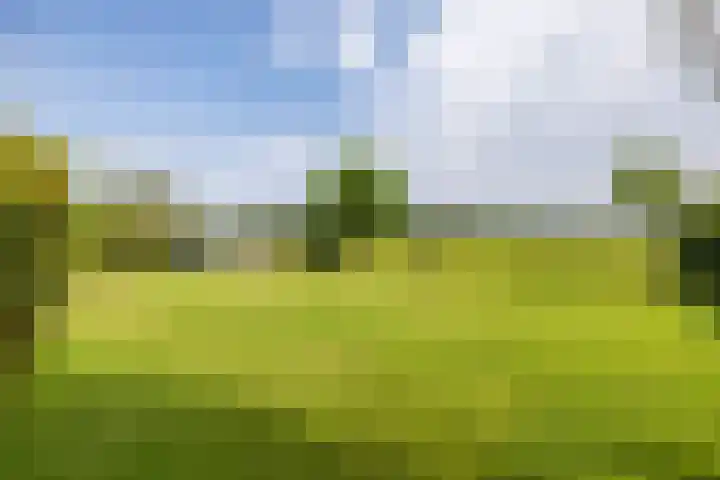 Dorpsstraat 60 Zuidlaarderveen thumbnail 30