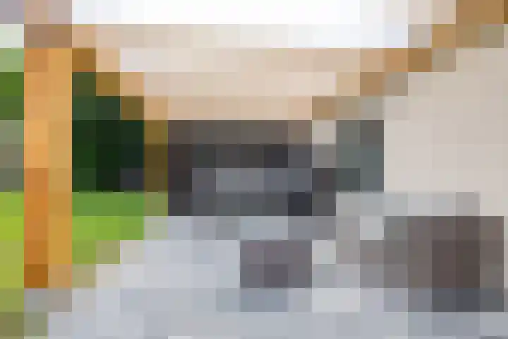 Dorpsstraat 60 Zuidlaarderveen thumbnail 33