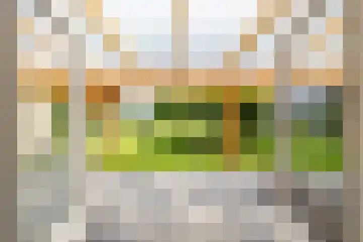 Dorpsstraat 60 Zuidlaarderveen thumbnail 35