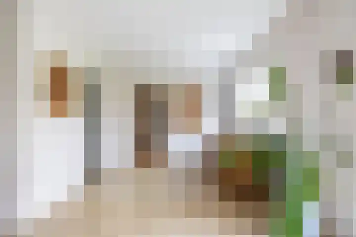 Dorpsstraat 60 Zuidlaarderveen thumbnail 36