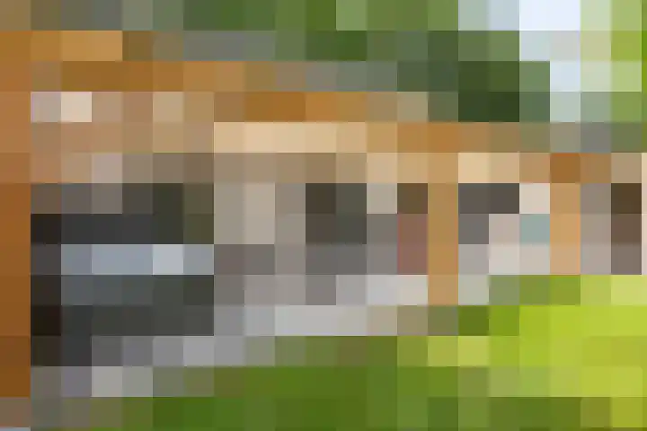 Dorpsstraat 60 Zuidlaarderveen thumbnail 4