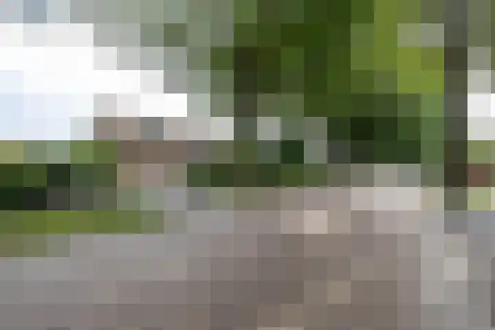 Dorpsstraat 60 Zuidlaarderveen thumbnail 6