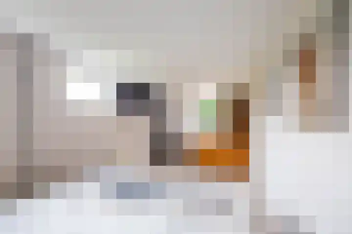 Dorpsstraat 60 Zuidlaarderveen thumbnail 60