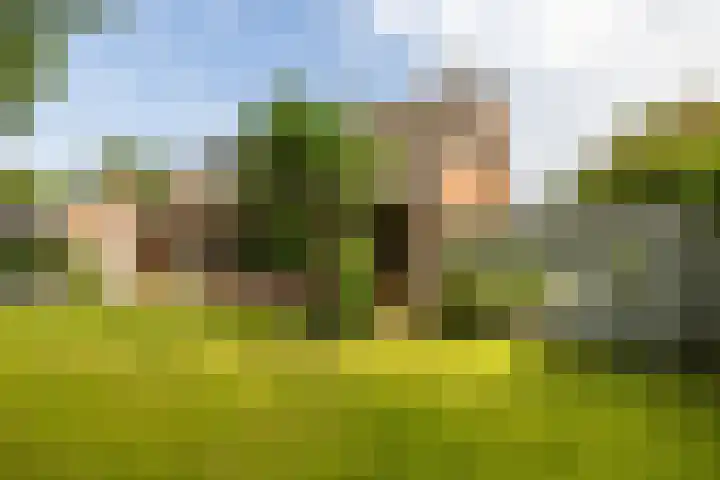 Dorpsstraat 60 Zuidlaarderveen thumbnail 8