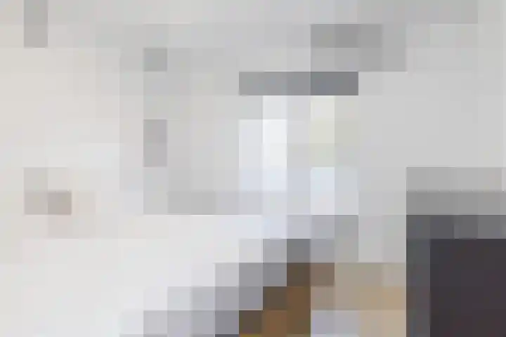 Dorpsstraat 61 Bingelrade thumbnail 20