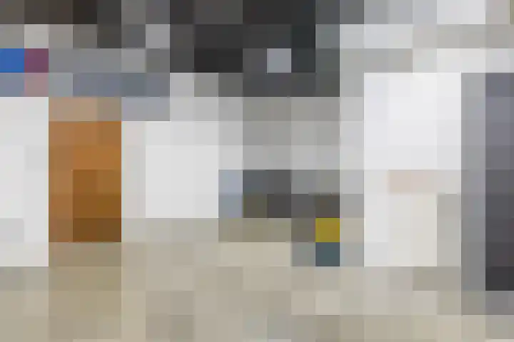 Dorpsstraat 61 Bingelrade thumbnail 29