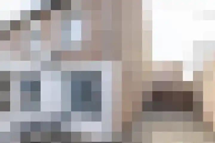 Dorpsstraat 61 Bingelrade thumbnail 31