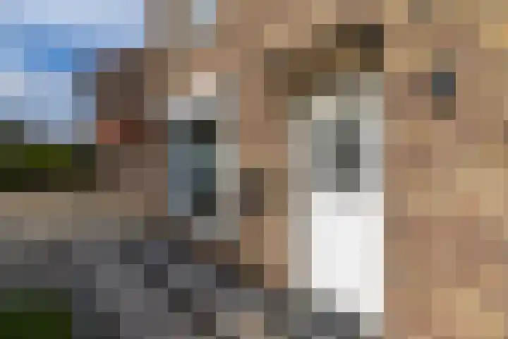 Dorpsstraat 61 Bingelrade thumbnail 34