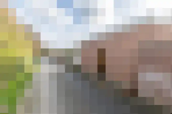 Dorpsstraat 61 Bingelrade thumbnail 36