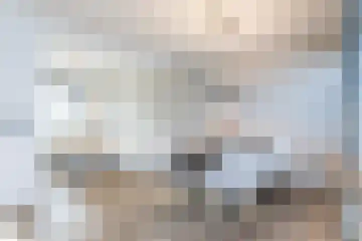 Dorpsstraat 61 Bingelrade thumbnail 6