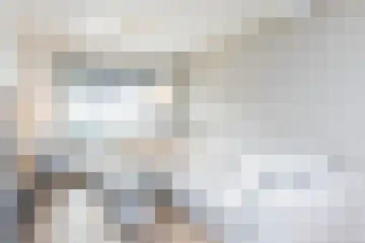 Dorpsstraat 61 Bingelrade thumbnail 7