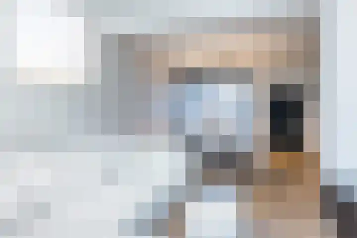 Dorpsstraat 61 Bingelrade thumbnail 9