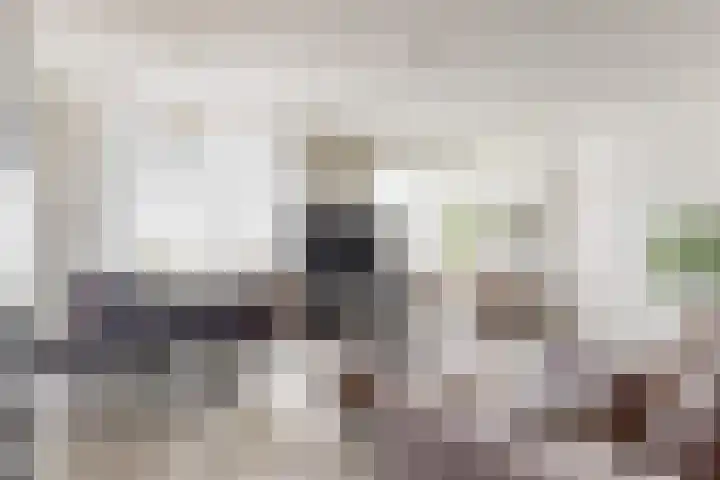 Dorpsstraat 61 F Renkum thumbnail 6