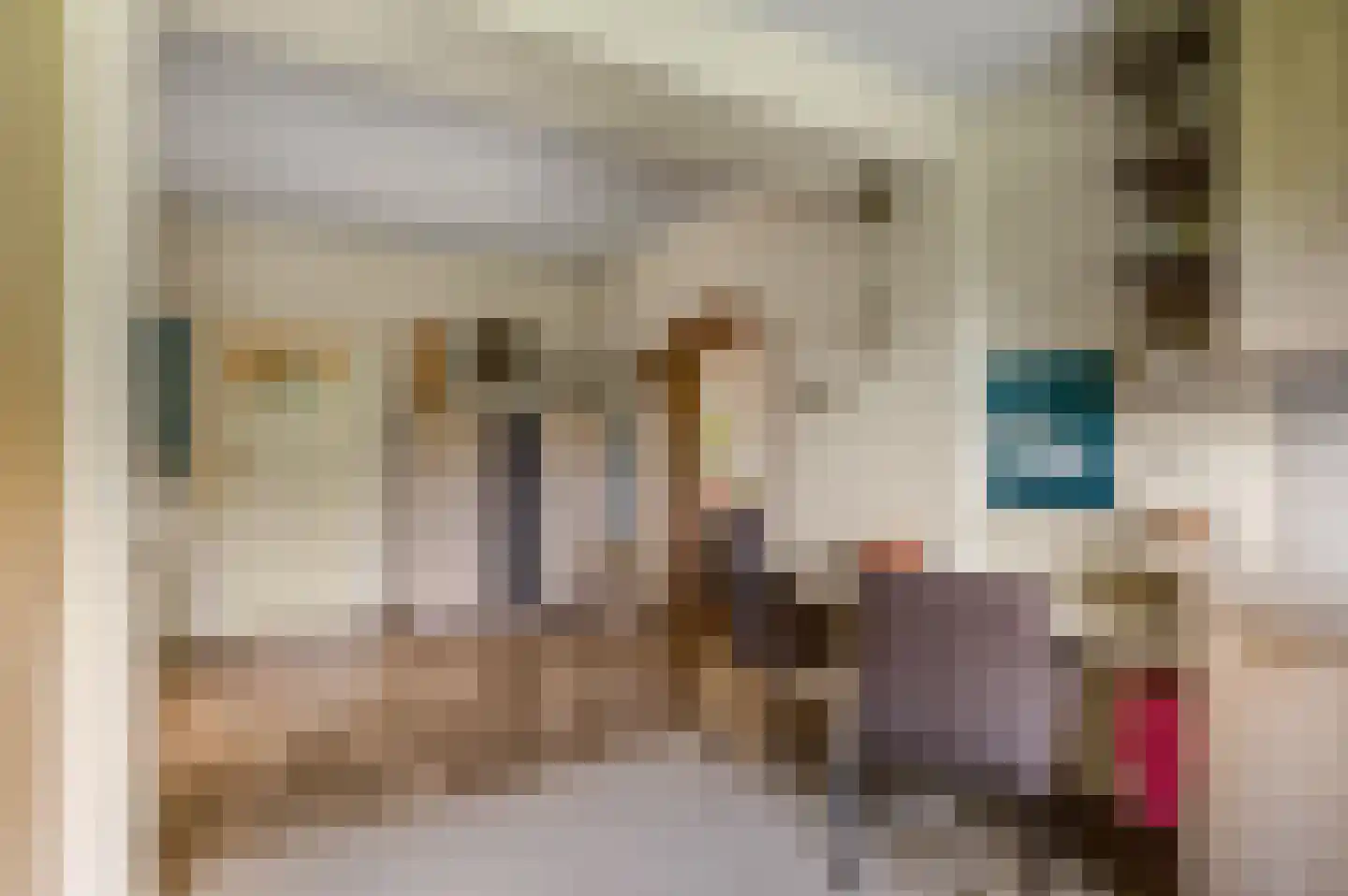Dorpsstraat 61 Oosterhout thumbnail 14