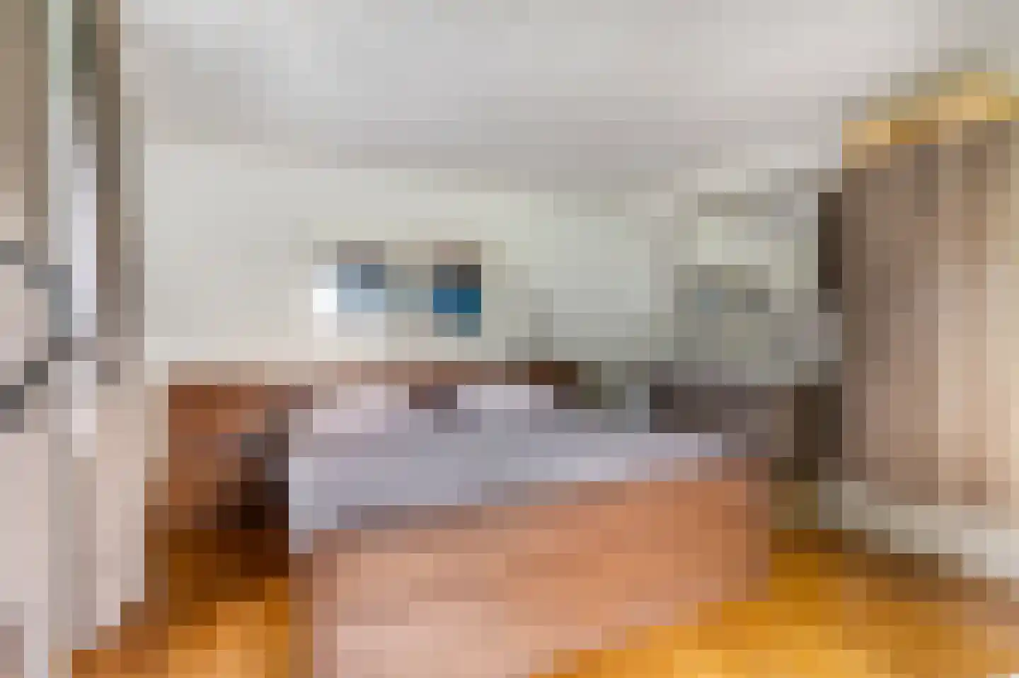 Dorpsstraat 61 Oosterhout thumbnail 33