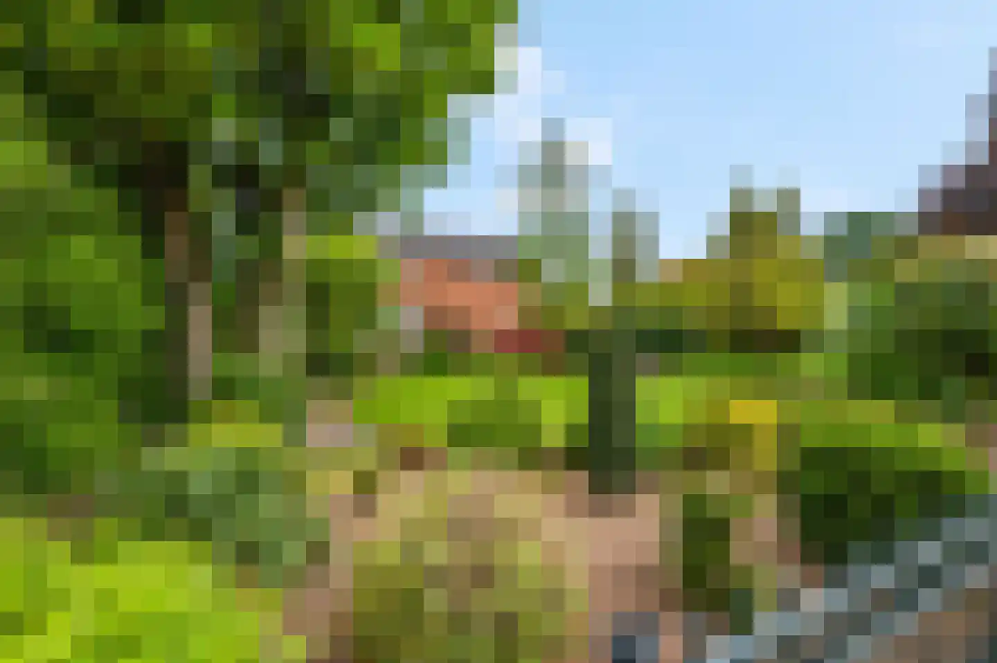 Dorpsstraat 61 Oosterhout thumbnail 34