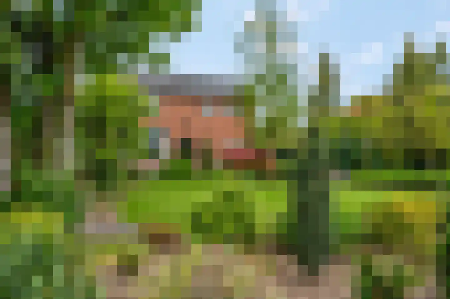 Dorpsstraat 61 Oosterhout thumbnail 53