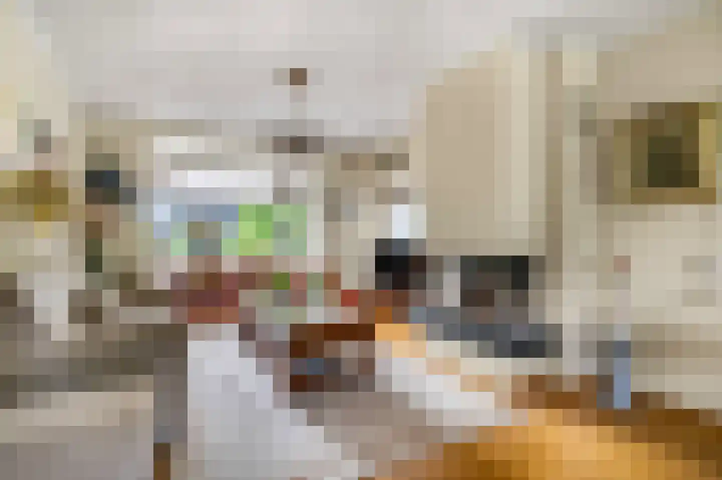 Dorpsstraat 61 Oosterhout thumbnail 7