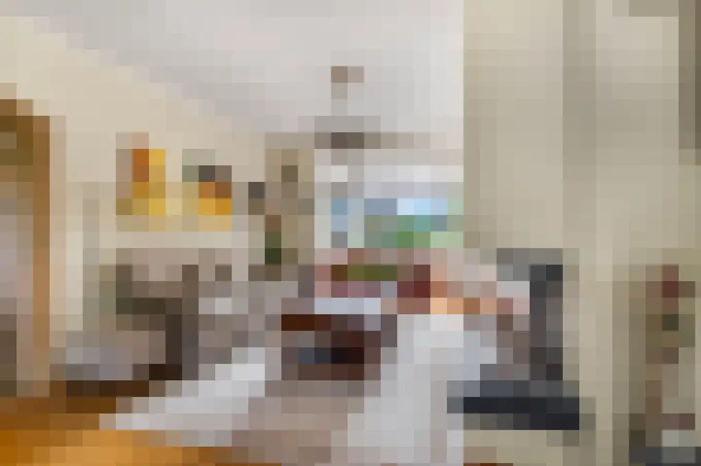 Dorpsstraat 61 Oosterhout thumbnail 8