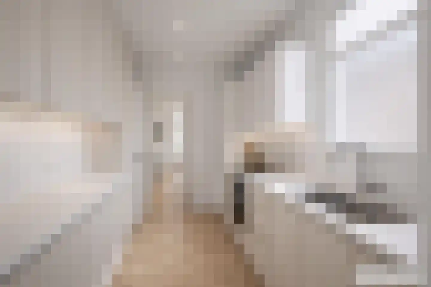 Dorpsstraat 619 Assendelft thumbnail 11