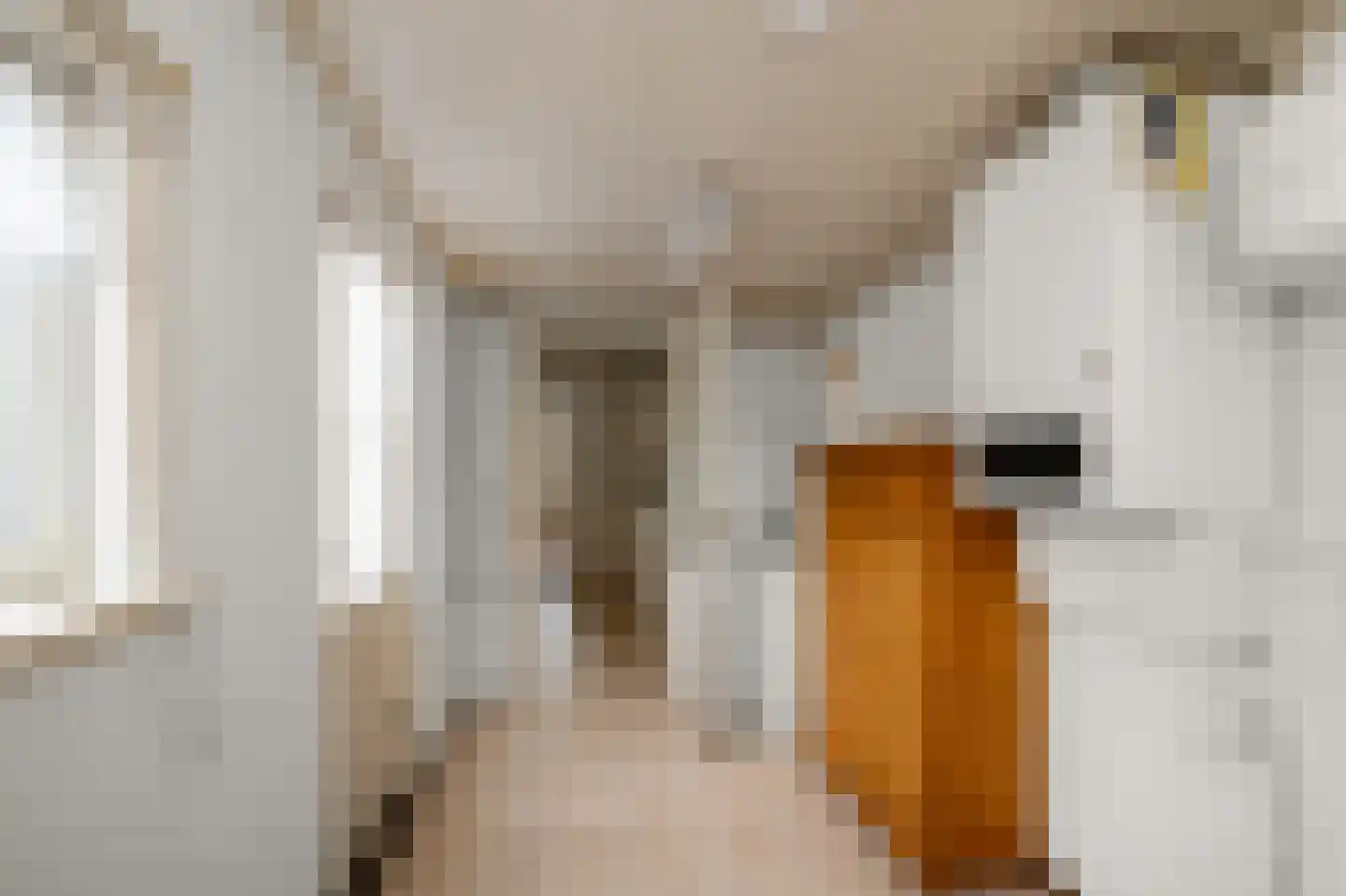 Dorpsstraat 619 Assendelft thumbnail 14