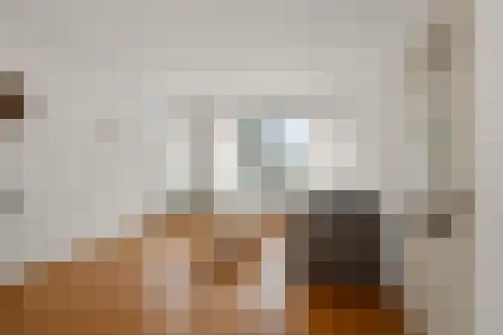 Dorpsstraat 619 Assendelft thumbnail 5
