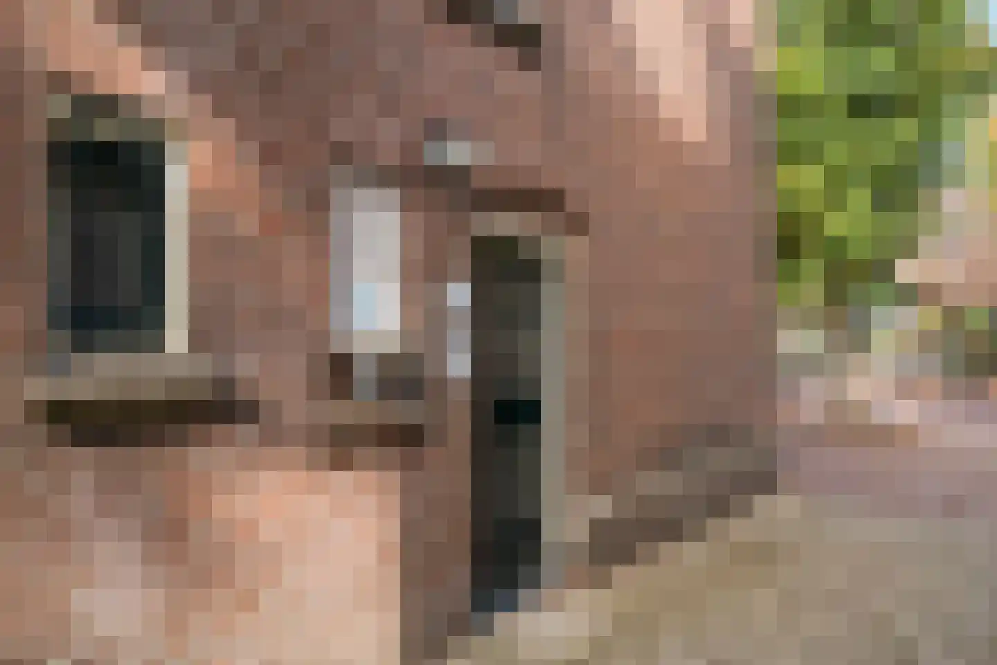 Dorpsstraat 62 B Bennekom thumbnail 8