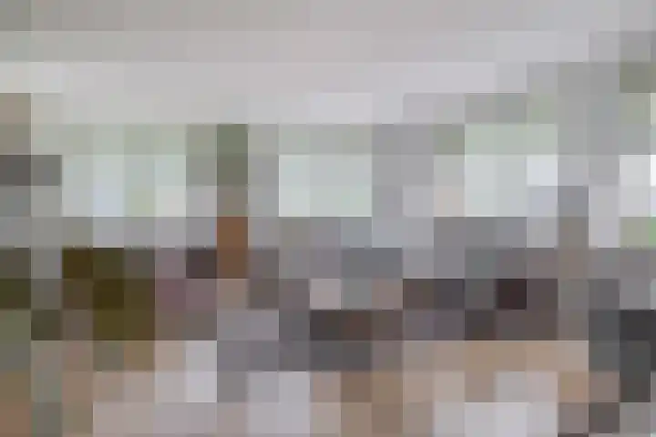 Dorpsstraat 62 B Capelle aan den IJssel thumbnail 14