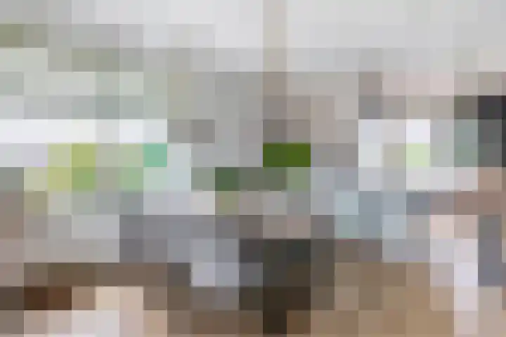 Dorpsstraat 62 B Capelle aan den IJssel thumbnail 17