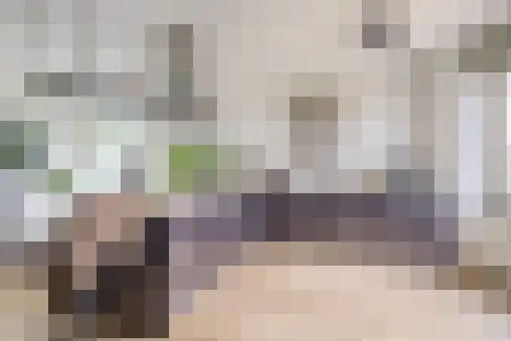 Dorpsstraat 62 B Capelle aan den IJssel thumbnail 18