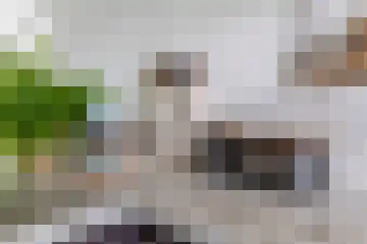 Dorpsstraat 62 B Capelle aan den IJssel thumbnail 20