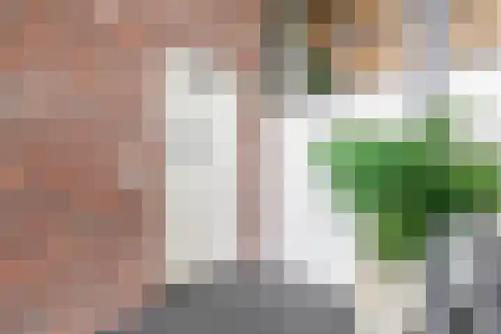 Dorpsstraat 62 B Capelle aan den IJssel thumbnail 8