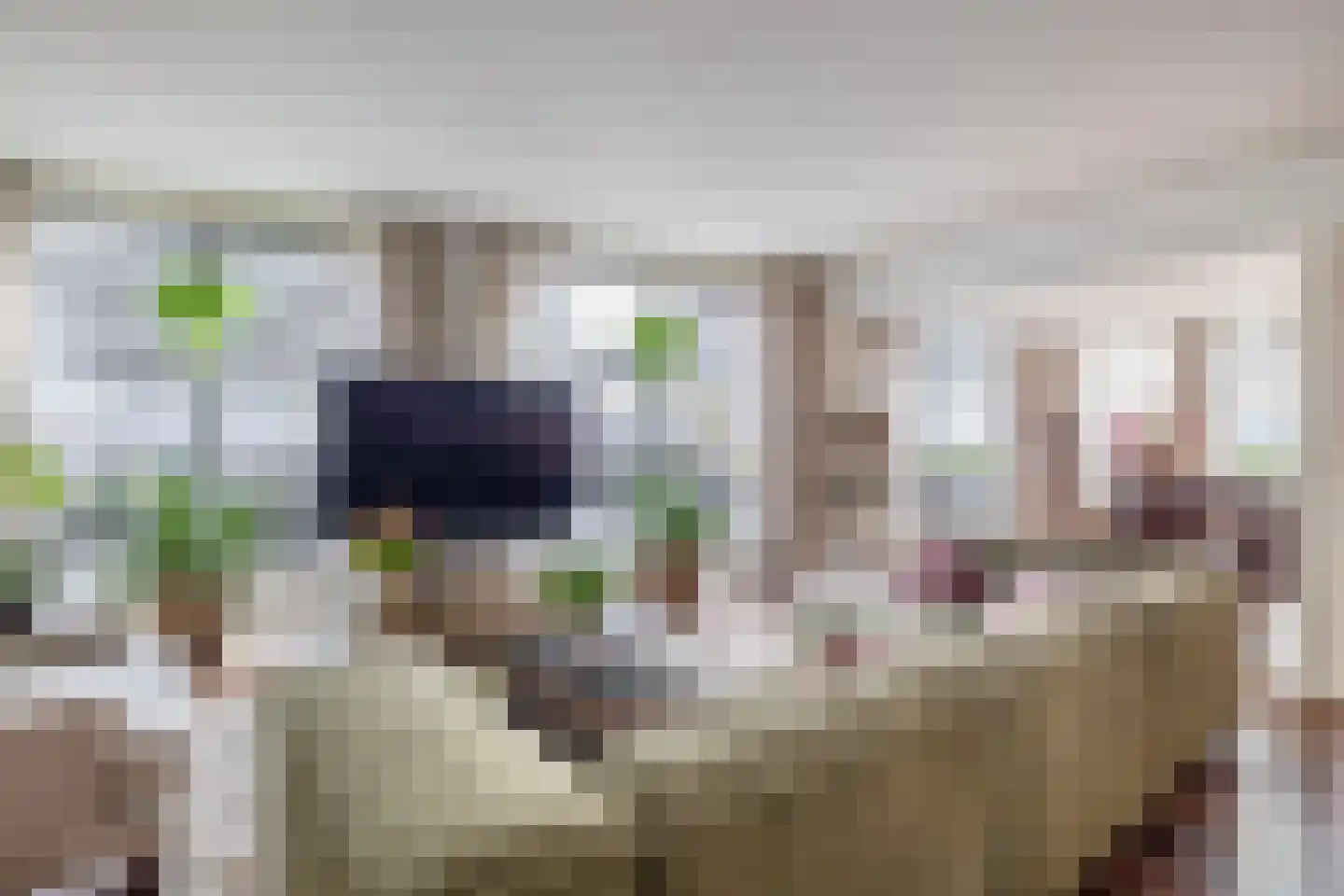 Dorpsstraat 62 Capelle aan den IJssel thumbnail 12